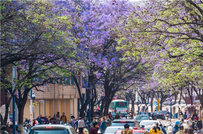 2026041508301819976.004